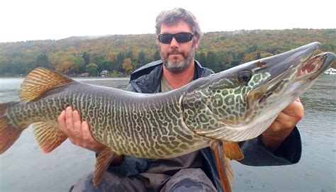 deep sea fishing|Musky, Tiger Musky & Pike (ESOX) .